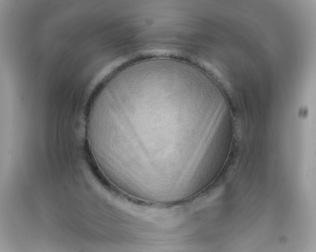 X0000091690016200709061134