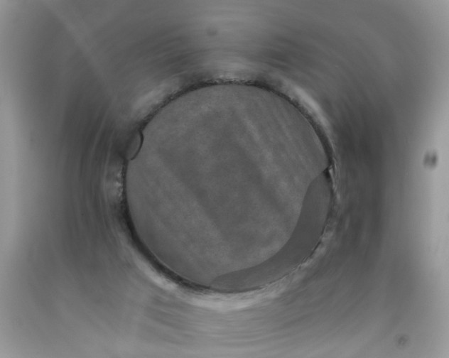 X0000091690017200709061134