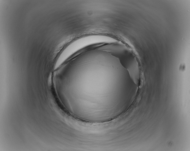 X0000091690019200709061134