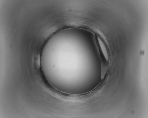 X0000091690020200709061134