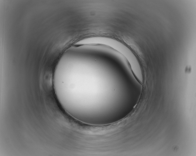 X0000091690021200709061134