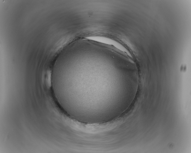 X0000091690022200709061134