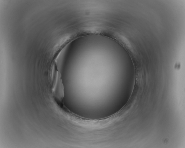 X0000091690023200709061134