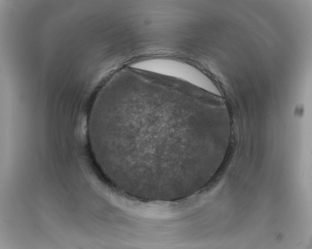 X0000091690024200709061134