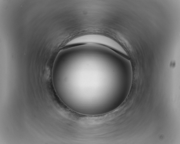 X0000091690025200709061134