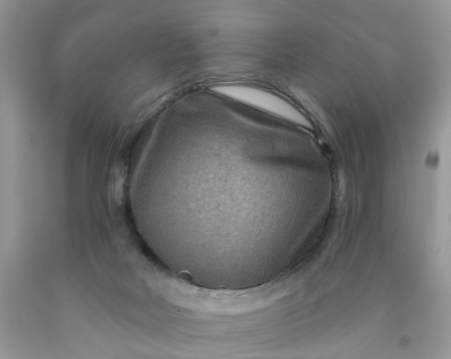 X0000091690026200709061134