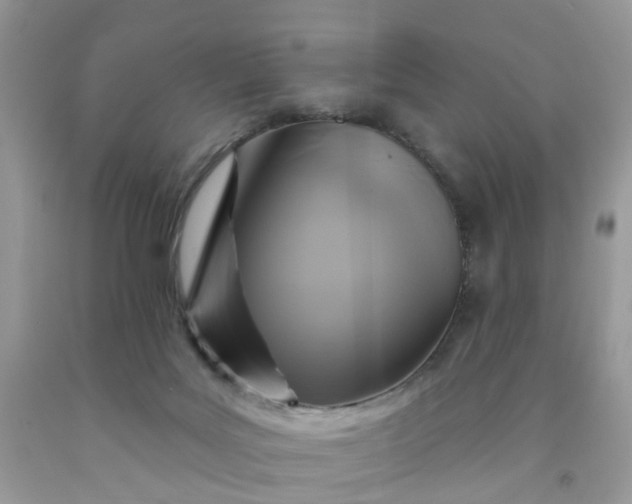 X0000091690027200709061134