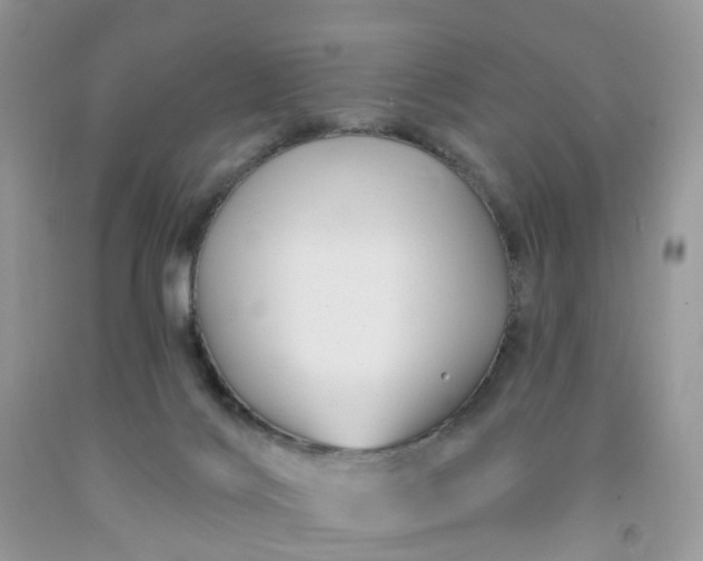 X0000091690028200709061134