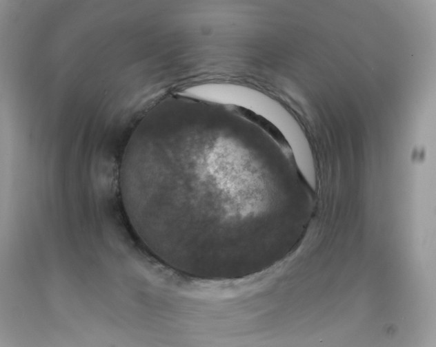 X0000091690029200709061134