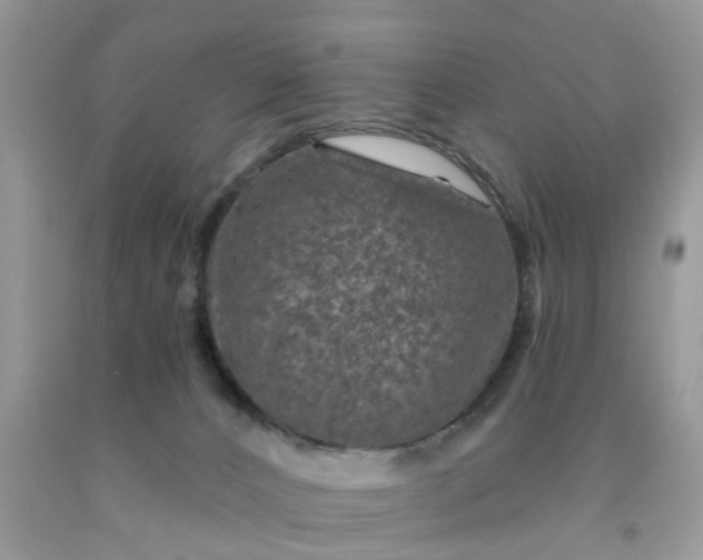 X0000091690032200709061134