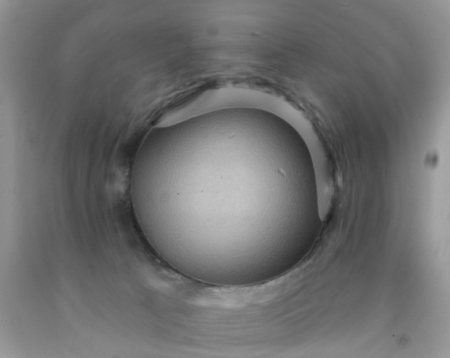 X0000091690033200709061134