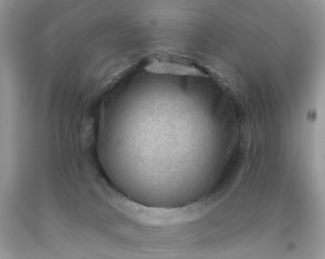 X0000091690034200709061134