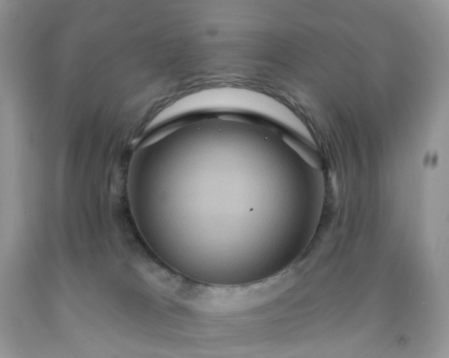 X0000091690037200709061134