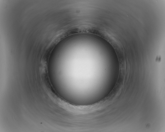 X0000091690038200709061134