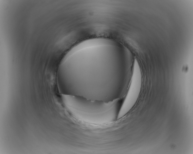 X0000091690039200709061134