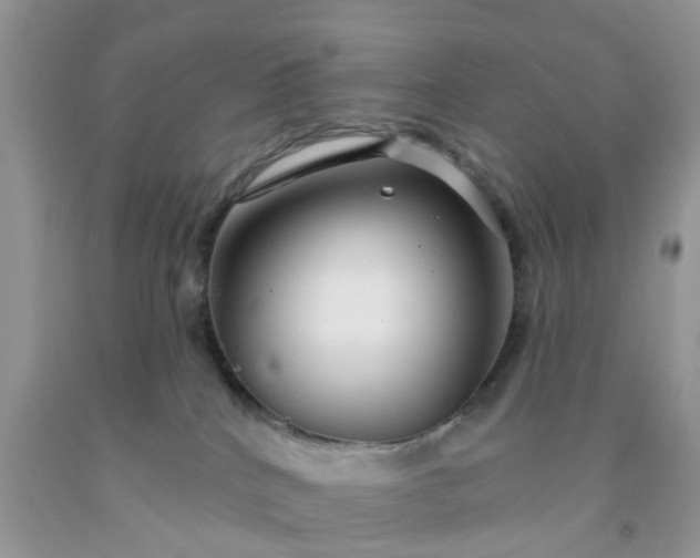 X0000091690040200709061134