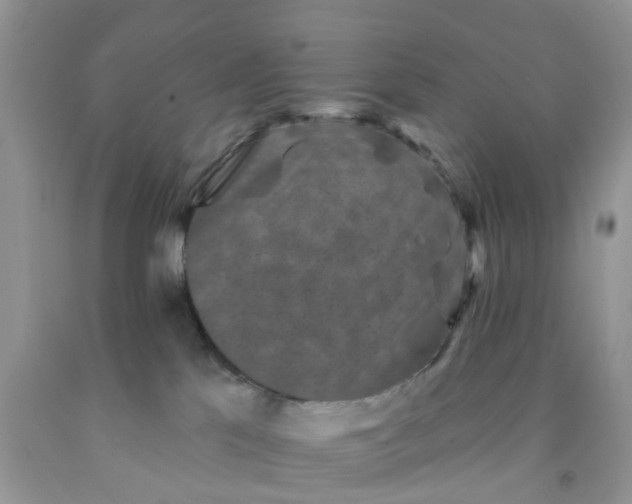 X0000091690041200709061134