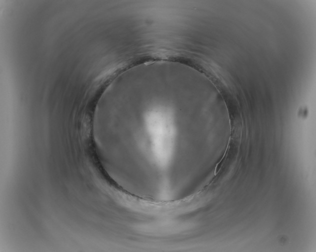 X0000091690043200709061134