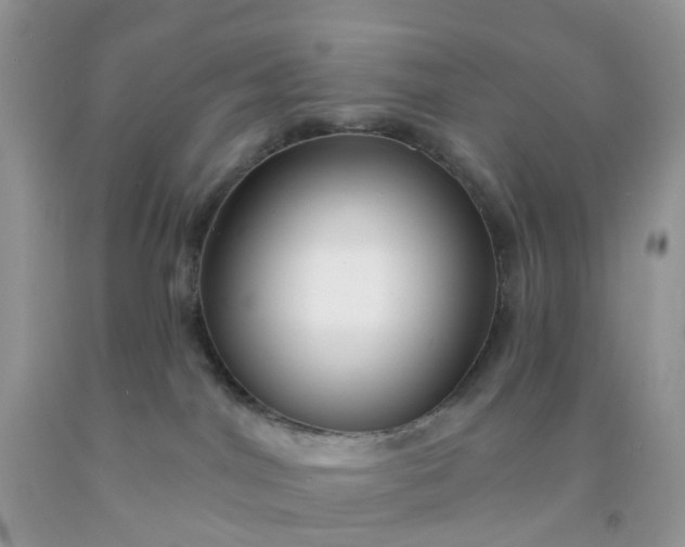 X0000091690044200709061134