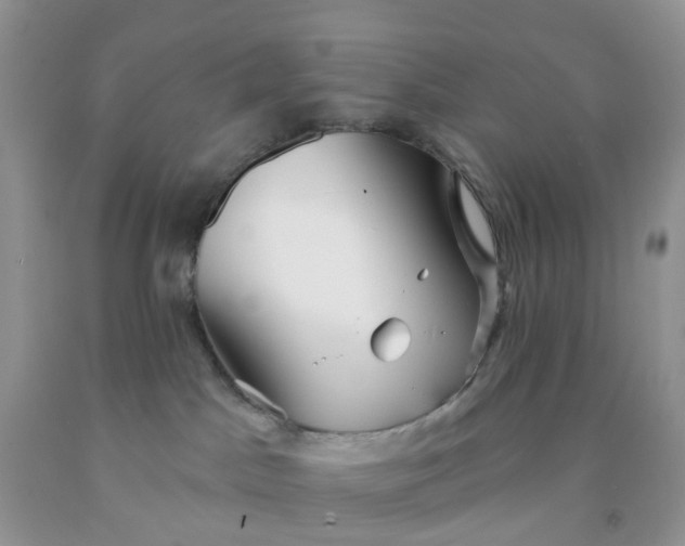 X0000091690045200709061134