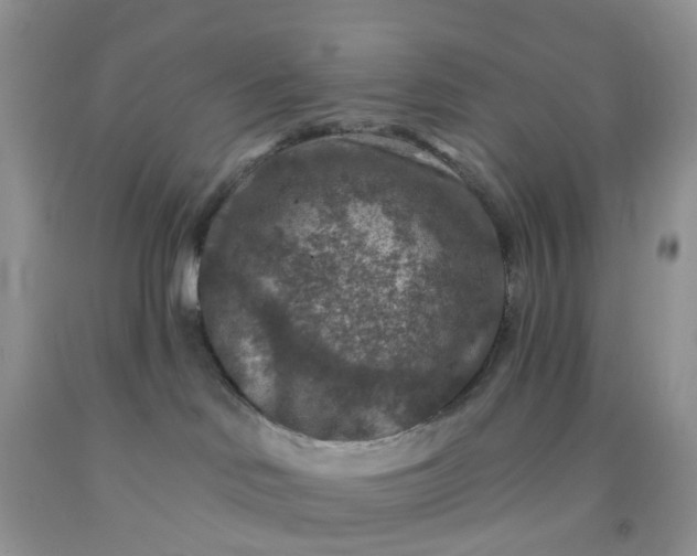 X0000091690046200709061134