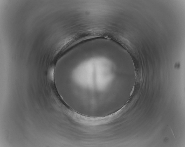 X0000091690047200709061134