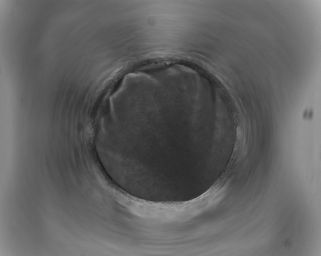 X0000091690048200709061134