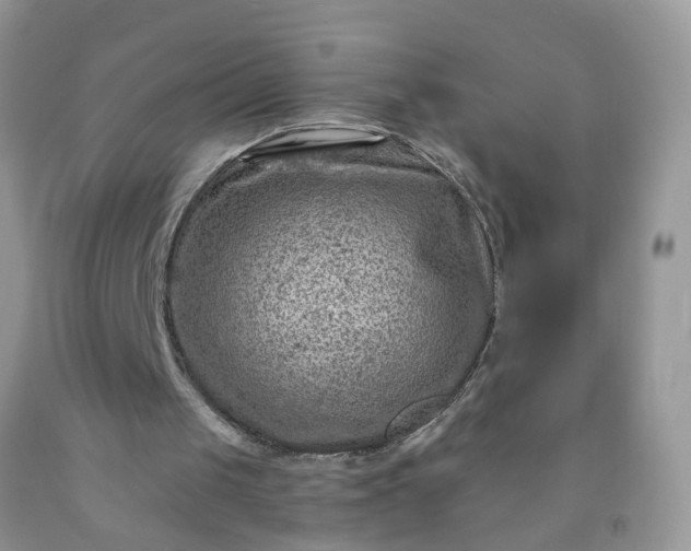 X0000091690049200709061133