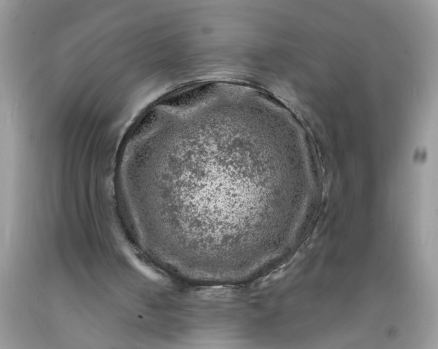 X0000091690050200709061133