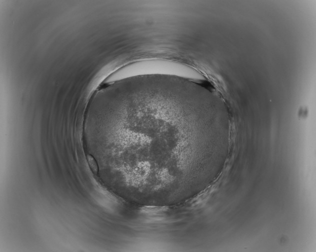 X0000091690051200709061133