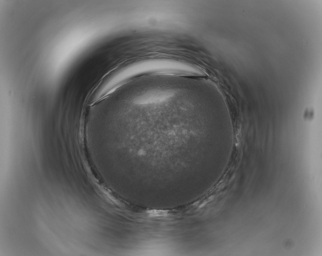 X0000091690052200709061133