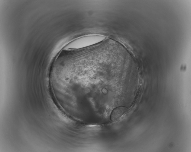 X0000091690053200709061133