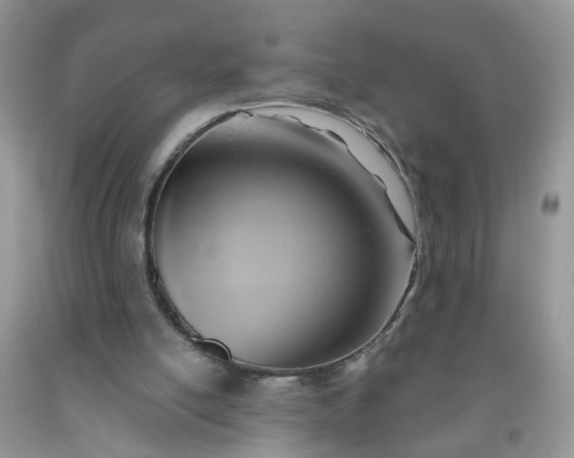 X0000091690054200709061133