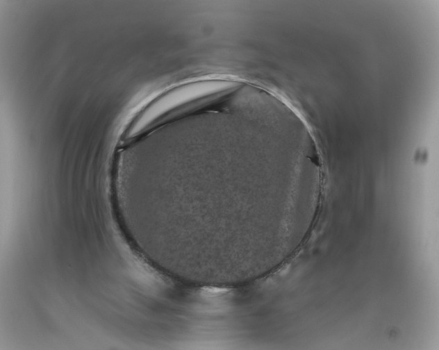 X0000091690055200709061133