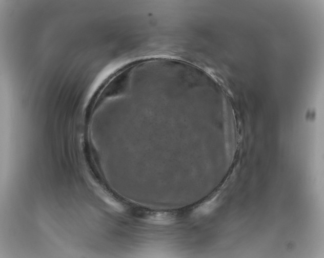 X0000091690056200709061133