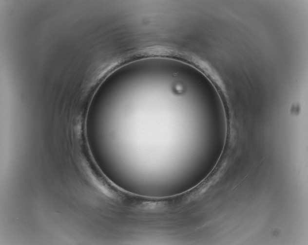 X0000091690057200709061133