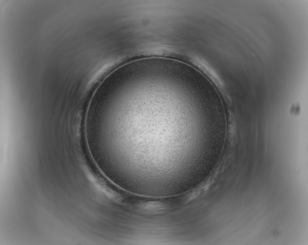 X0000091690058200709061133