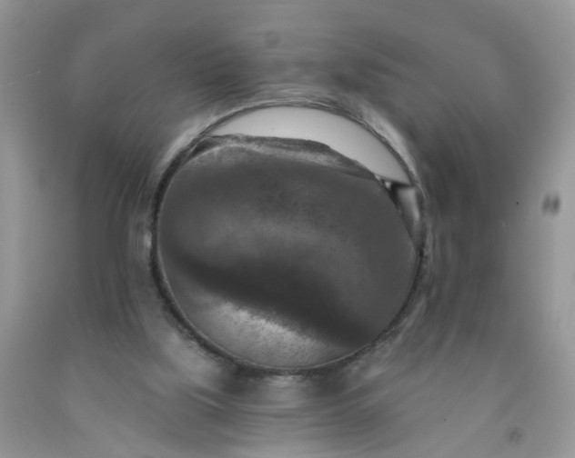 X0000091690059200709061133