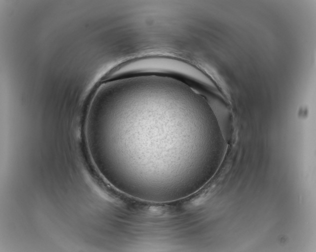 X0000091690060200709061133