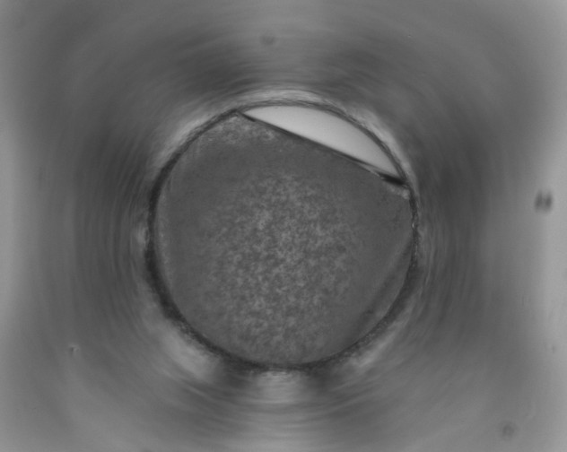 X0000091690063200709061133