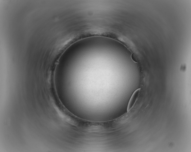 X0000091690066200709061133