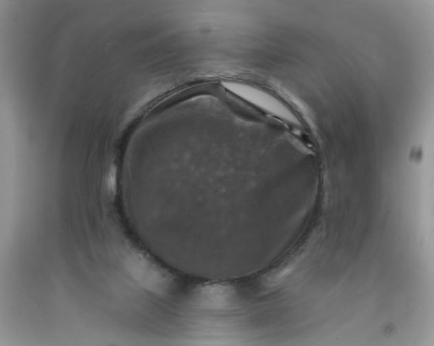 X0000091690067200709061133