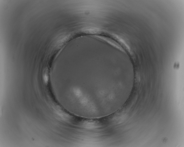 X0000091690069200709061133