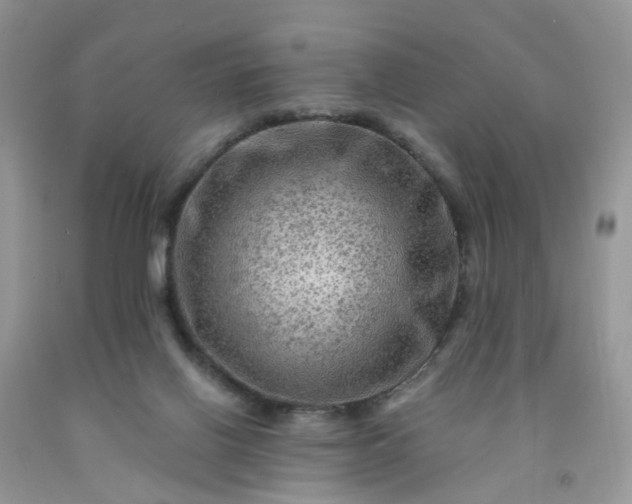 X0000091690070200709061133