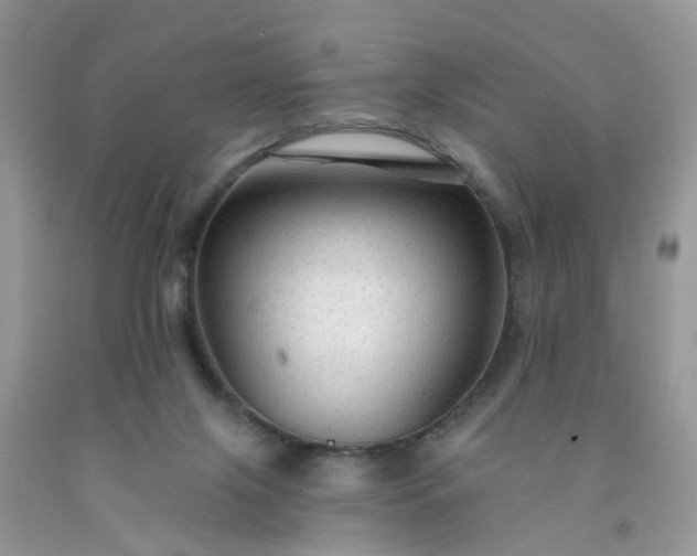 X0000091690071200709061133