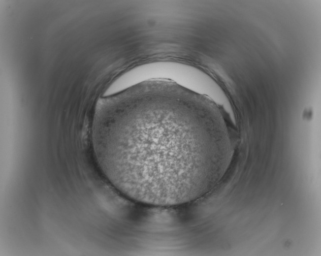 X0000091690073200709061133