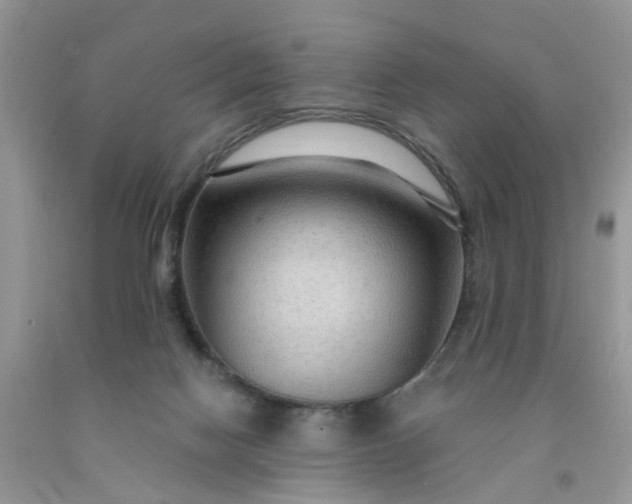 X0000091690074200709061134