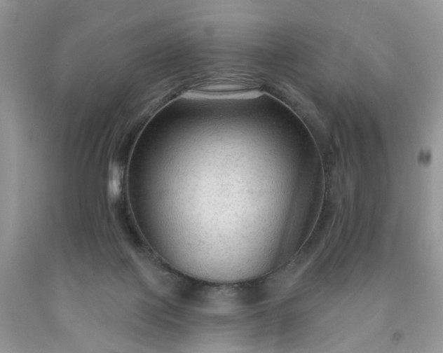 X0000091690075200709061134