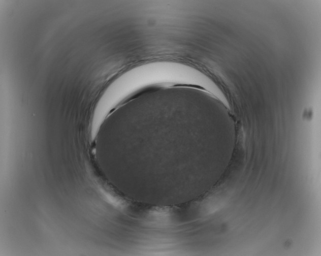 X0000091690076200709061134