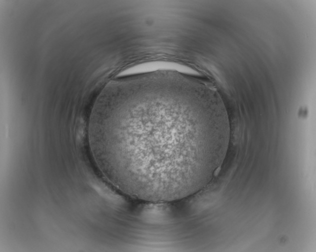 X0000091690077200709061134